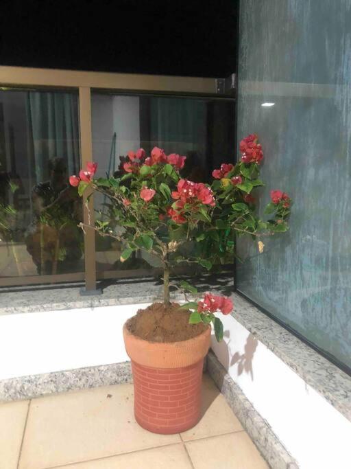 Village Amplo E Aconchegante! Solaris Imbassai Mata de São João Exterior foto